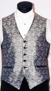 silver vest